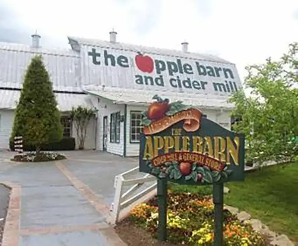 Christmas and Candle Shop near Pigeon Forge, TN