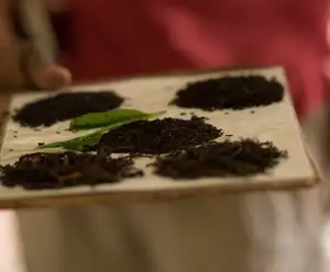 Spice and Tea Exchange