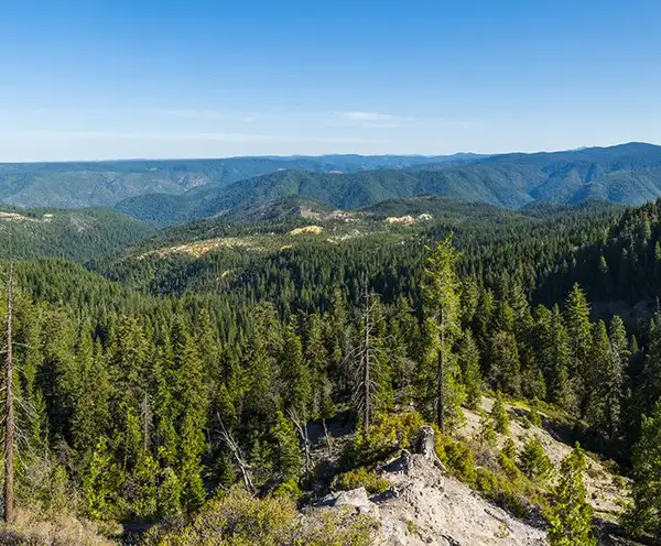 Tahoe National Forest 