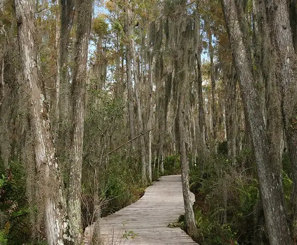 Arthur Marshall Loxahatchee Wild Life Refuge