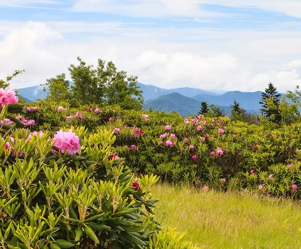 Appalachian Mountain Ridgeline