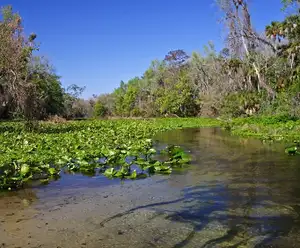 Rock Springs