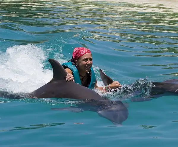 Dolphin World in Fort Lauderdale, FL