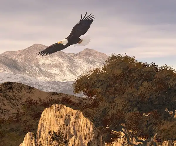 The James Museum of Western & Wildlife Art 