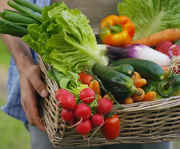 Community Center & Farmers Market