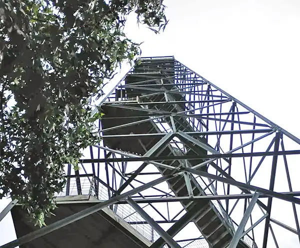 100 ft Observation Tower