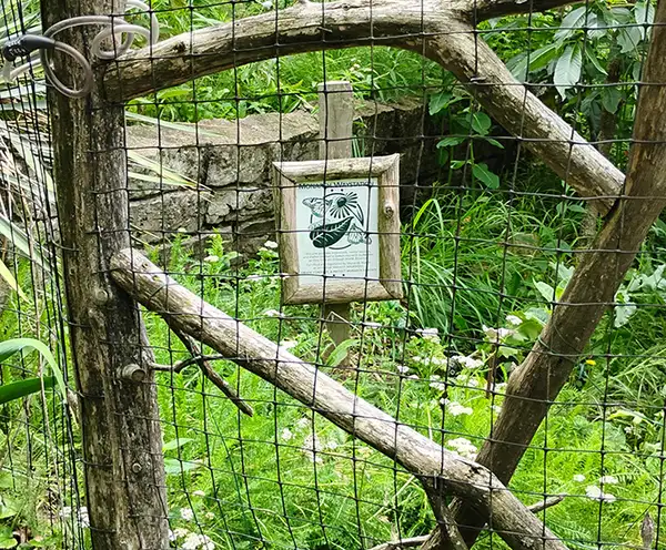 Monarch Waystation