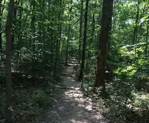Fuller and Beacham Loop Trails