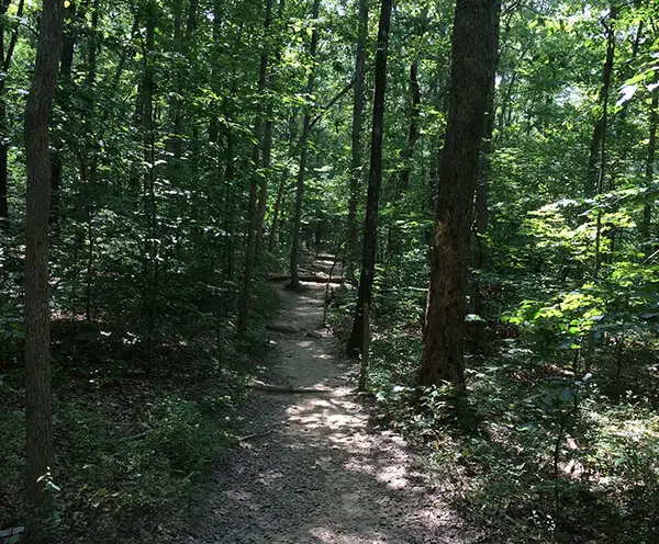 Fuller and Beacham Loop Trails