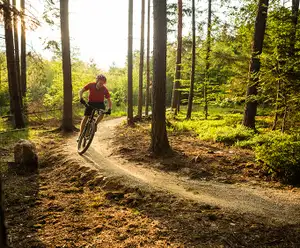 Lake Leatherwood Gravity Project Park