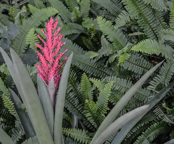Mead Botanical Garden Orlando