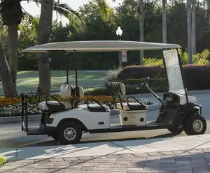Mount Dora Transit and Tours