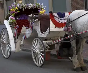 Olde Mount Dora Carriage Company