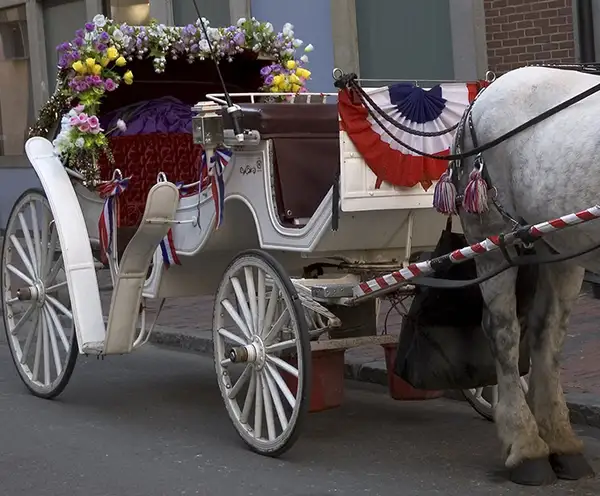 Olde Mount Dora Carriage Company
