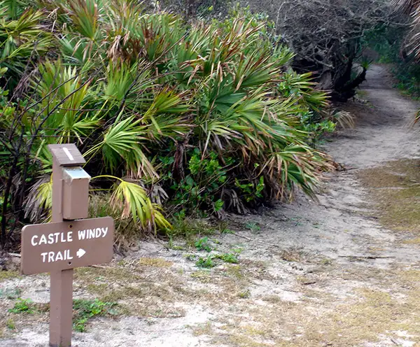 Canaveral National Seashore