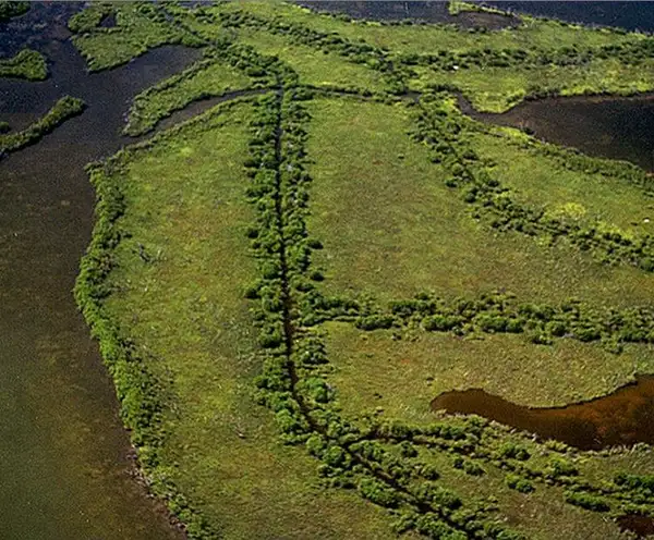 Thousand Islands Conservation Area