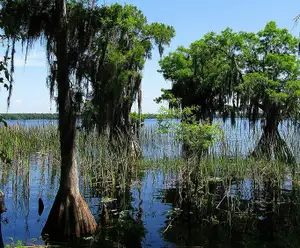 Disney Wilderness Preserve Orlando