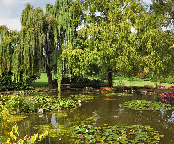 Veteran's Memorial Fountain