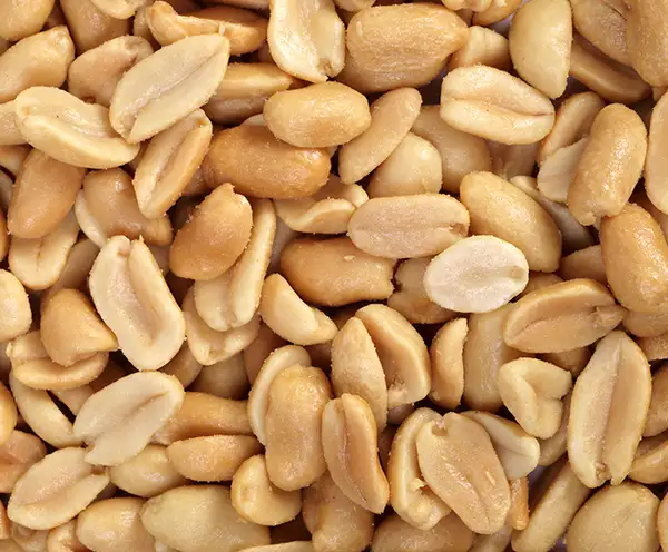 Belmont Peanuts Williamsburg