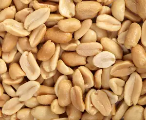 Belmont Peanuts Williamsburg