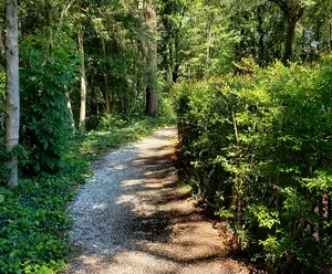Church on the Main Williamsburg