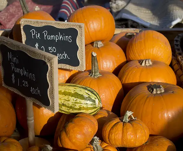 Williamsburg Farmers Market