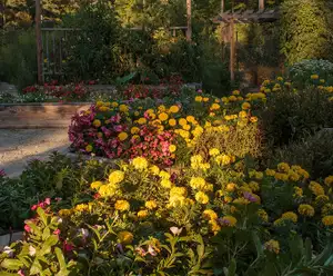 Freedom Park Williamsburg