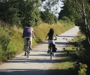 Greensprings Greenway Interpretative Trail Williamsburg