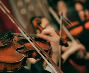 Williamsburg Symphony Orchestra