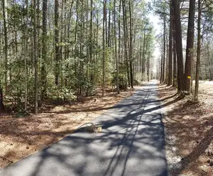 Virginia Capital Trail & Observation Pier Williamsburg