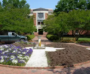 Swem Library Williamsburg