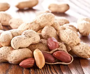 Salty Southern Route 