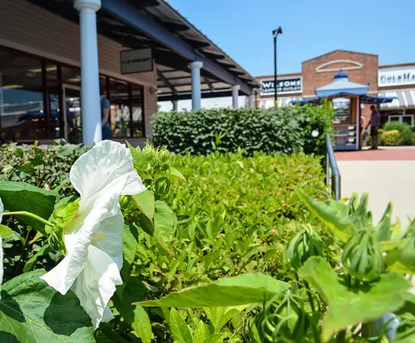 Williamsburg Premium Outlets