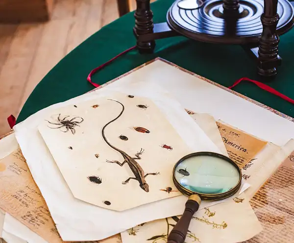 John D. Rockefeller Jr. Library Williamsburg