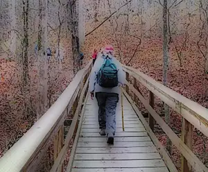 Blueberry Hill at Beaman Park Nashville