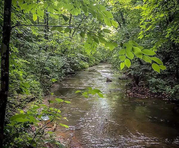 Bordeaux Gardens Park Nashville