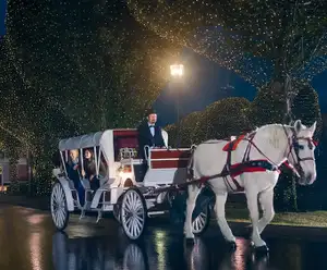 Carriage Rides Nashville, TN