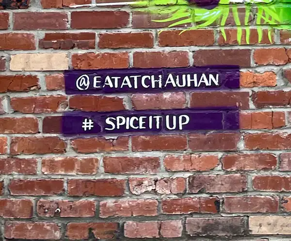 Chauhan Peacock Mural Nashville