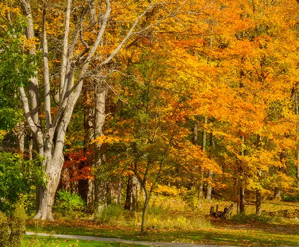 Historic Stone Hall Nashville