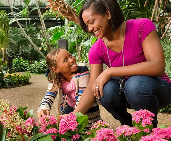 Garden Conservatory Gaylord Opryland