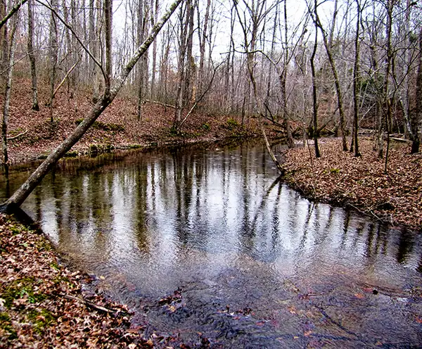 Montgomery Bell State Park Nashville