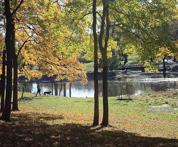 Shelby Golf Course Nashville