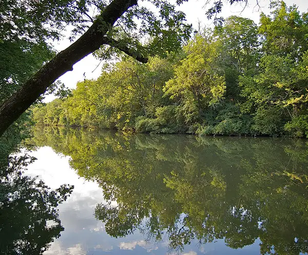 Stones River Greenway Park Nashville