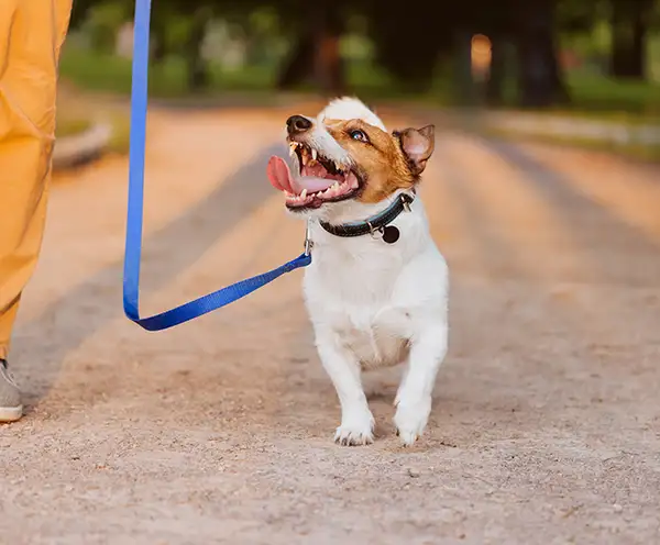 St. Bernard Park and Historical Site Nashville