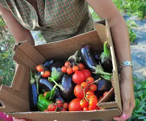 Tennessee Agricultural Museum Nashville