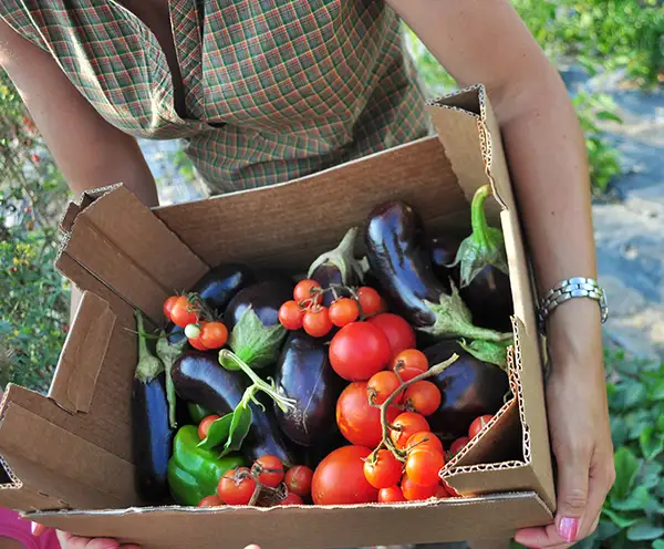 Tennessee Agricultural Museum Nashville