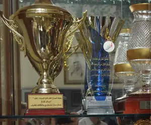 Tennessee Sports Hall of Fame Nashville