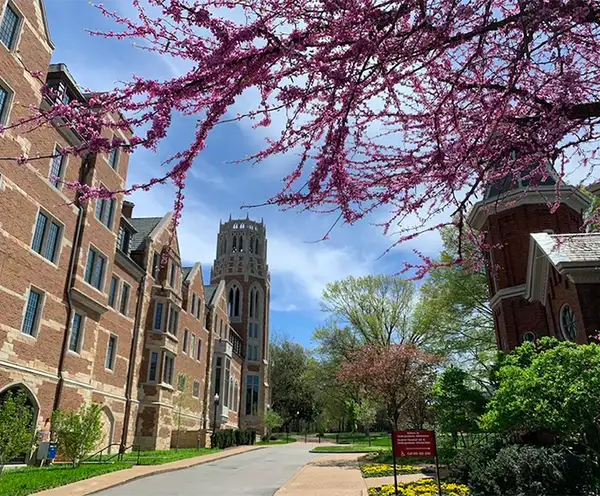 Vanderbilt Square Nashville