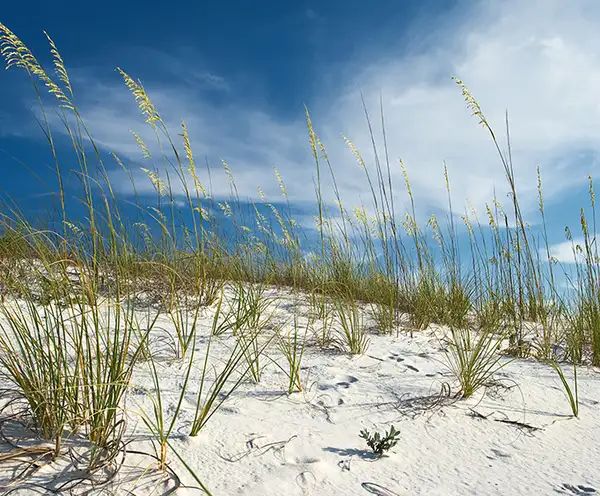 Captain Leonard Destin Park FL