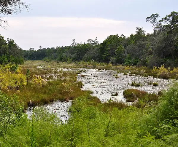 Fred Gannon Rocky Bayou State Park Niceville Destin, FL